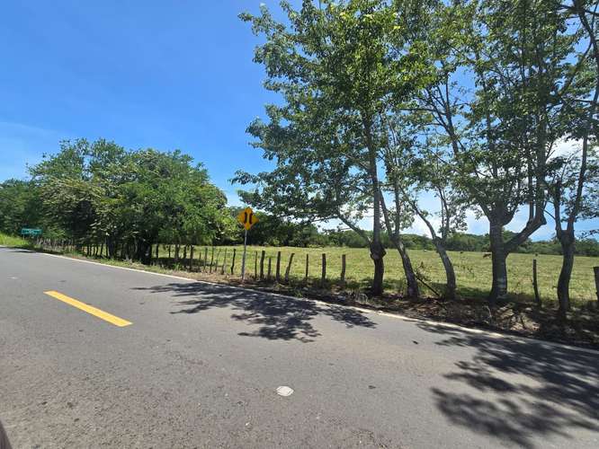 VENTA DE TERRENO DE 4.9 HAS EN EL JAGUITO, COCLE AQ - Imagen 6