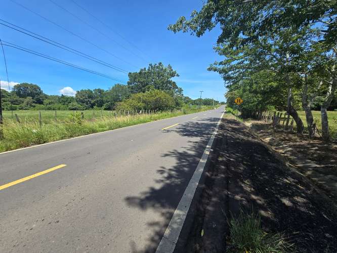 VENTA DE TERRENO DE 4.9 HAS EN EL JAGUITO, COCLE AQ - Imagen 7