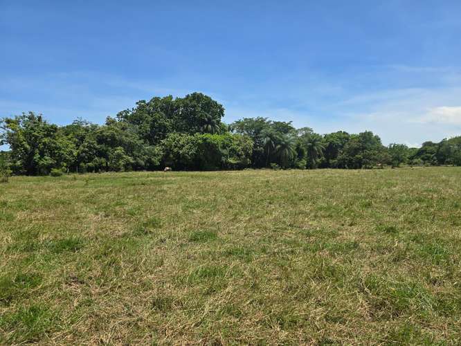 VENTA DE TERRENO DE 4.9 HAS EN EL JAGUITO, COCLE AQ - Imagen 15