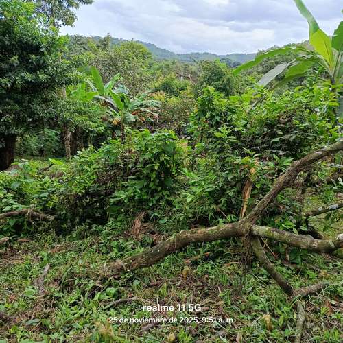 Se vende terreno Titulado en Chilibre - Panama. Trato directo con el propietario. - Imagen 7
