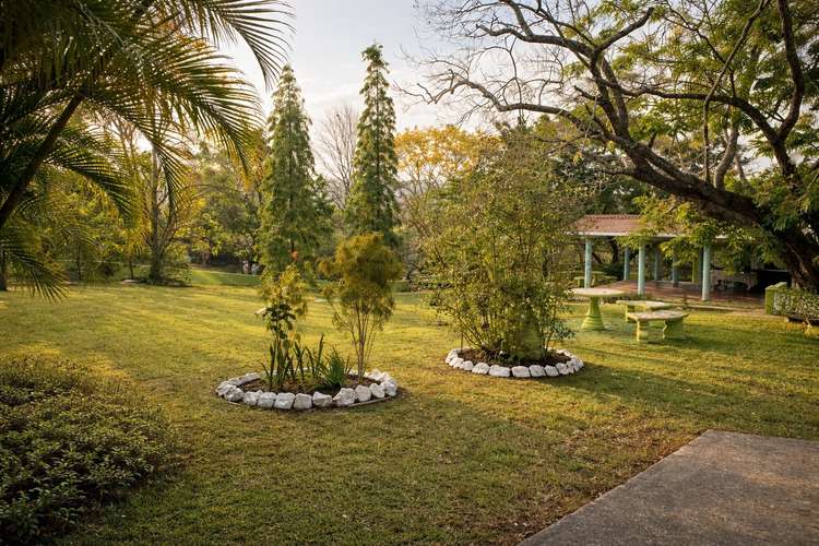 Hermosa finca campestre de 5,163.10 m² ubicada en Santa Rosa, Capira - Imagen 11