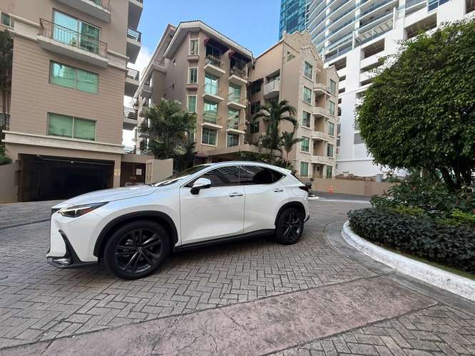 Lexus NX 350h Luxury AWD 2024 - Híbrido - 11300km