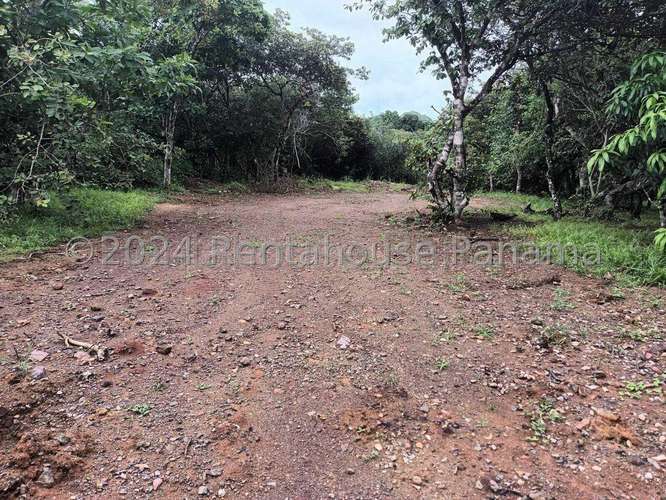 Se Vende Terreno en Penonome YDU - Imagen 5