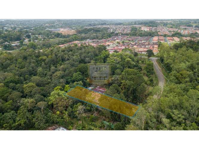 SE VENDE GALERA EN LA CHORRERA, CERCA  A MYSTIC CITY