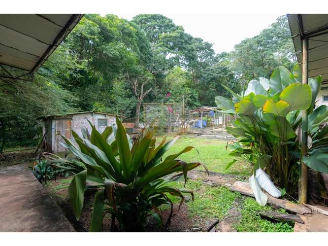 SE VENDE GALERA EN LA CHORRERA, CERCA  A MYSTIC CITY