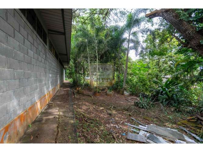 SE VENDE GALERA EN LA CHORRERA, CERCA  A MYSTIC CITY