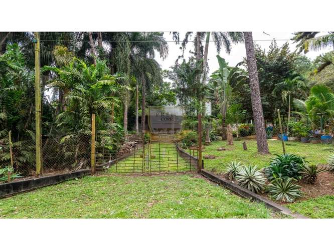 SE VENDE GALERA EN LA CHORRERA, CERCA  A MYSTIC CITY