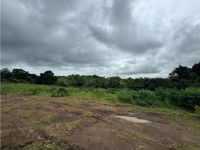 VENTA DE TERRENO DE 15,000M2 EN LAS MAÑANITAS | TOCUMEN