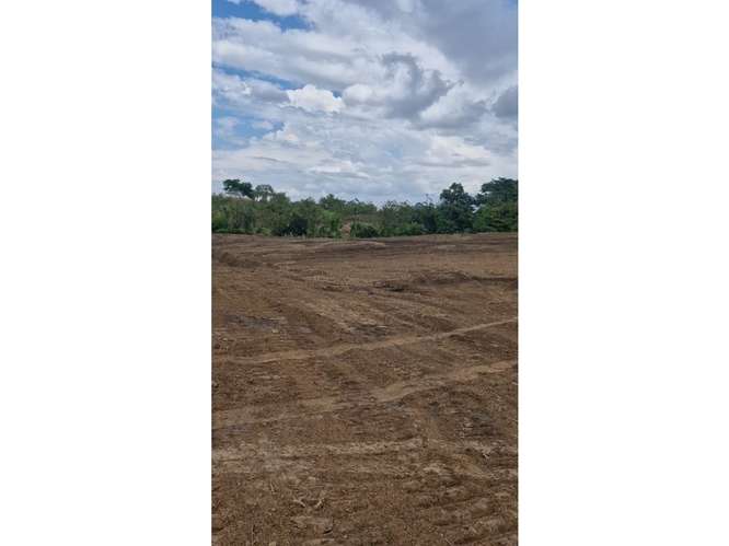 VENTA DE TERRENO DE 15,000M2 EN LAS MAÑANITAS | TOCUMEN