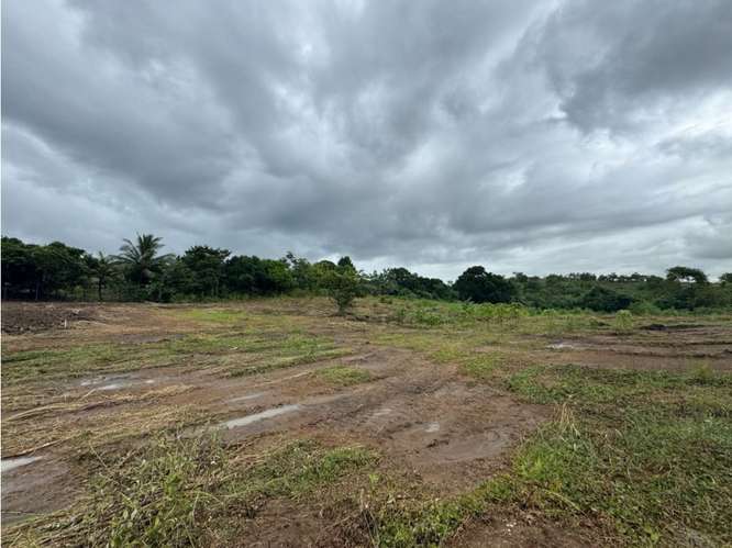 VENTA DE TERRENO DE 15,000M2 EN LAS MAÑANITAS | TOCUMEN