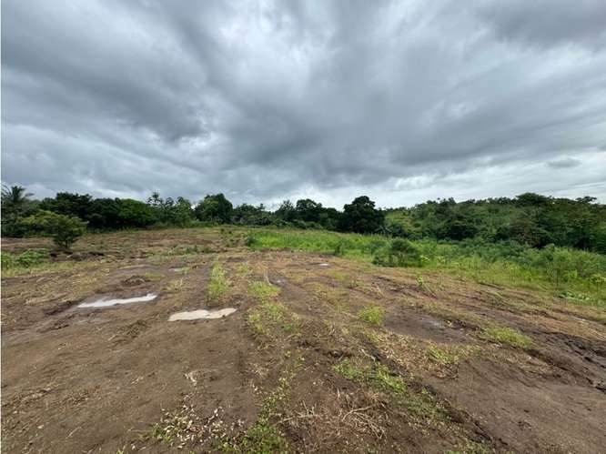 VENTA DE TERRENO DE 15,000M2 EN LAS MAÑANITAS | TOCUMEN