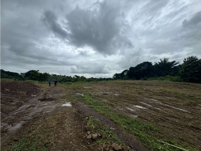 VENTA DE TERRENO DE 15,000M2 EN LAS MAÑANITAS | TOCUMEN