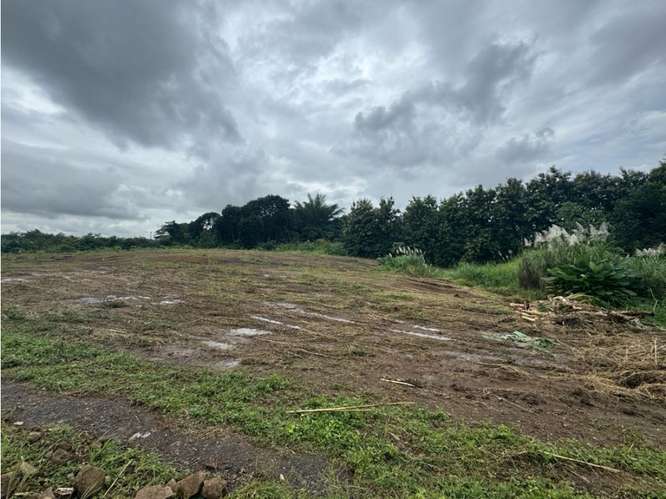 VENTA DE TERRENO DE 15,000M2 EN LAS MAÑANITAS | TOCUMEN