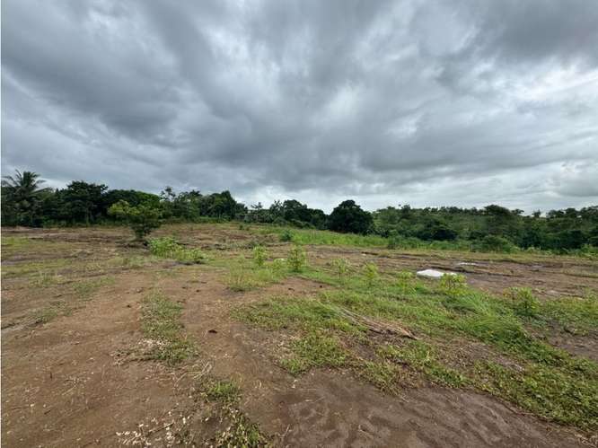 VENTA DE TERRENO DE 15,000M2 EN LAS MAÑANITAS | TOCUMEN