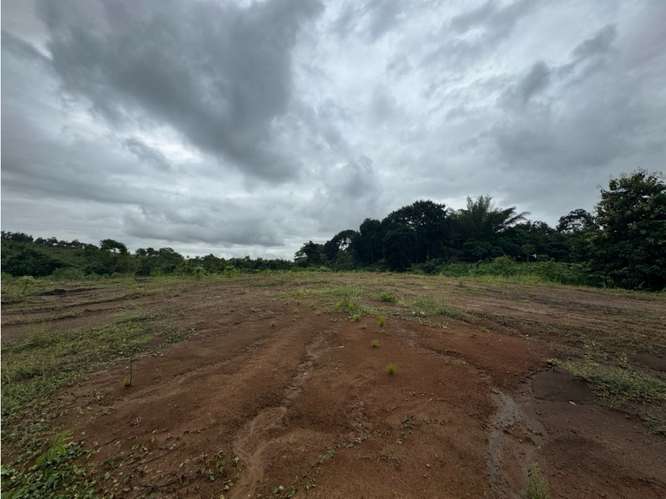 VENTA DE TERRENO DE 15,000M2 EN LAS MAÑANITAS | TOCUMEN