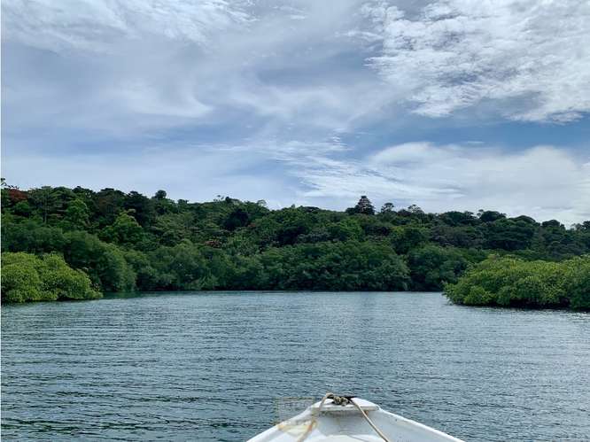 Vendo finca en Bocas del Toro Isla Bastimento L.T