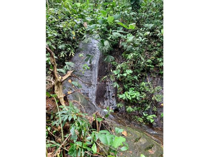 Vendo finca en Bocas del Toro Isla Bastimento L.T