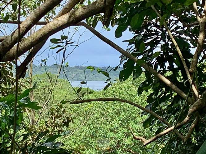 Vendo finca en Bocas del Toro Isla Bastimento L.T