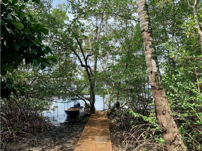 Vendo finca en Bocas del Toro Isla Bastimento L.T