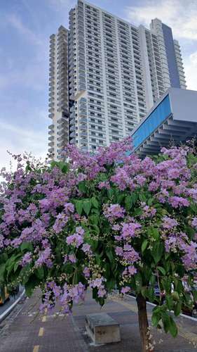 Venta de Apartamento en Obarrio Ph Worldwide plaza JV - Imagen 12