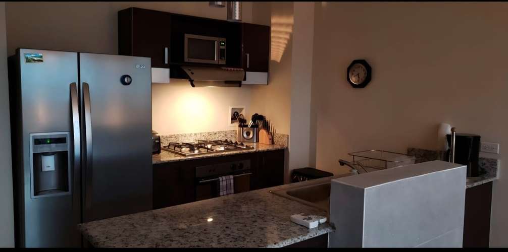 Se Alquila Apartamento Amoblado en PH Vitro Loft – El Cangrejo - Imagen 5