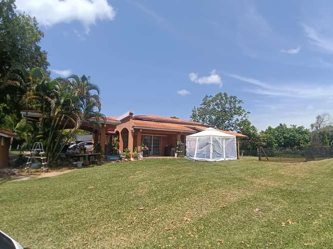 VENTA CASA Y TERRENO NUEVA GORGONA |  CHAME - Imagen 10