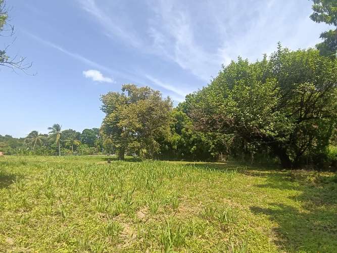 VENTA CASA Y TERRENO NUEVA GORGONA |  CHAME - Imagen 15