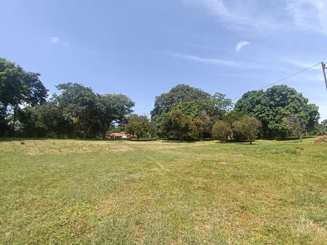 VENTA CASA Y TERRENO NUEVA GORGONA |  CHAME - Imagen 20