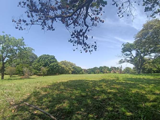 VENTA CASA Y TERRENO NUEVA GORGONA |  CHAME - Imagen 18