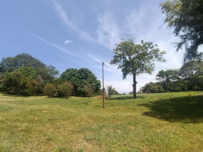 VENTA CASA Y TERRENO NUEVA GORGONA |  CHAME - Imagen 19