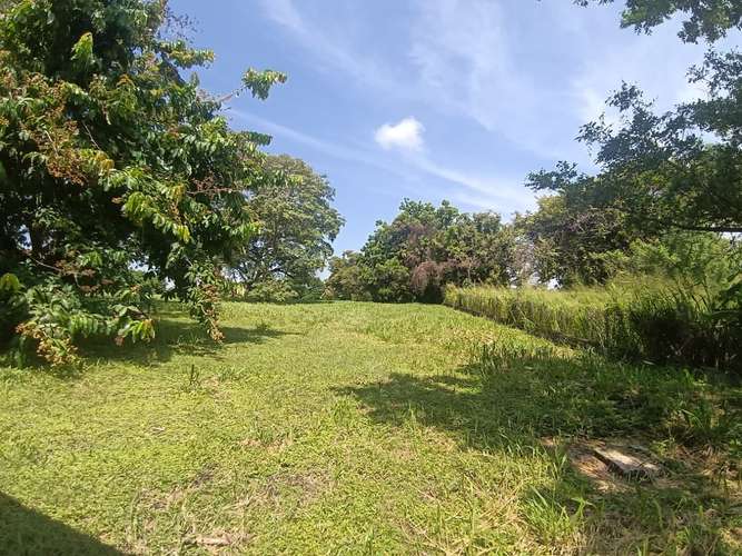VENTA CASA Y TERRENO NUEVA GORGONA |  CHAME - Imagen 17