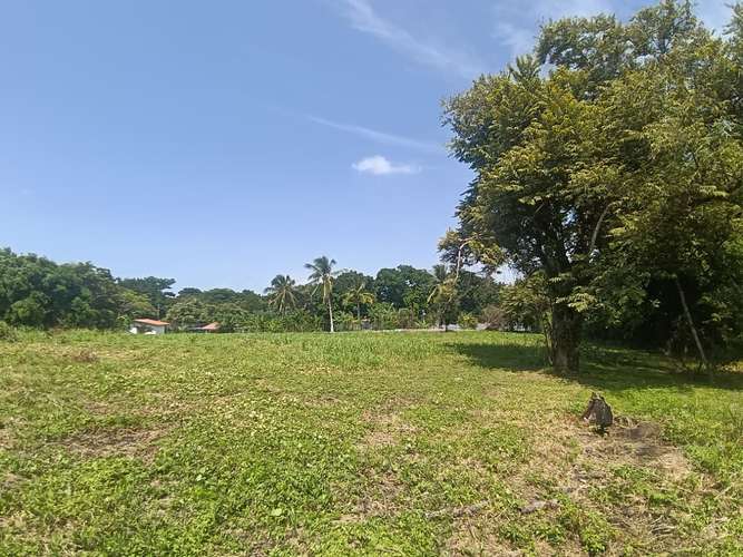 VENTA CASA Y TERRENO NUEVA GORGONA |  CHAME - Imagen 16