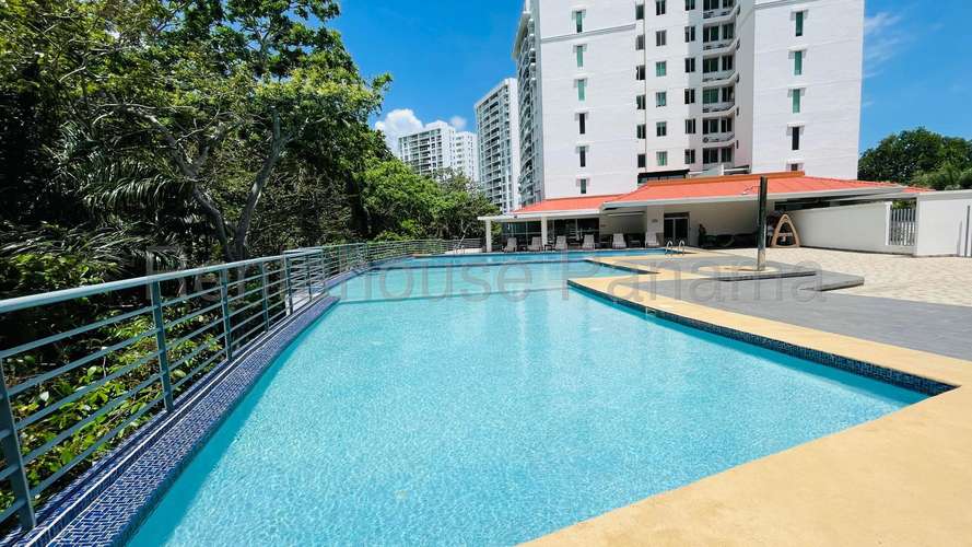 Alquiler de Apartamento en Ph Clayton Park Solo Cliente Directo MC - Imagen 12