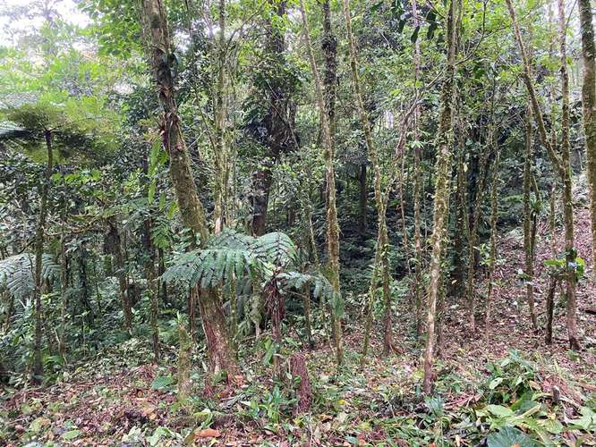  TERRENO EN VENTA EN ALTOS DEL MARÍA – NAVARRA