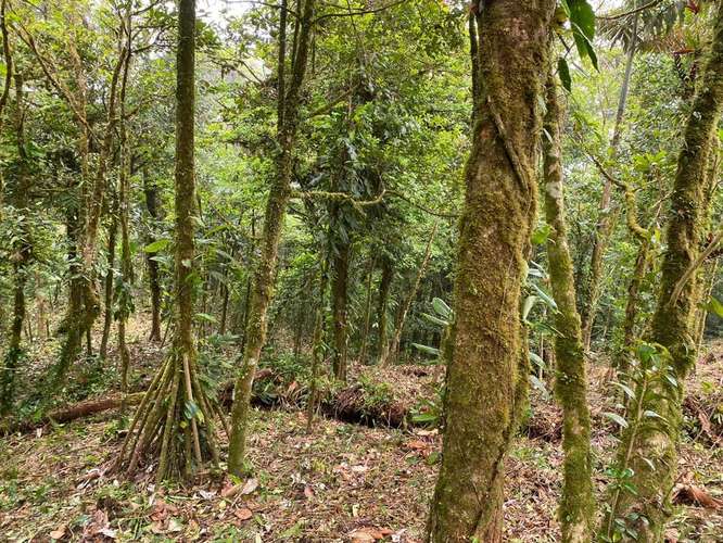  TERRENO EN VENTA EN ALTOS DEL MARÍA – NAVARRA - Imagen 2