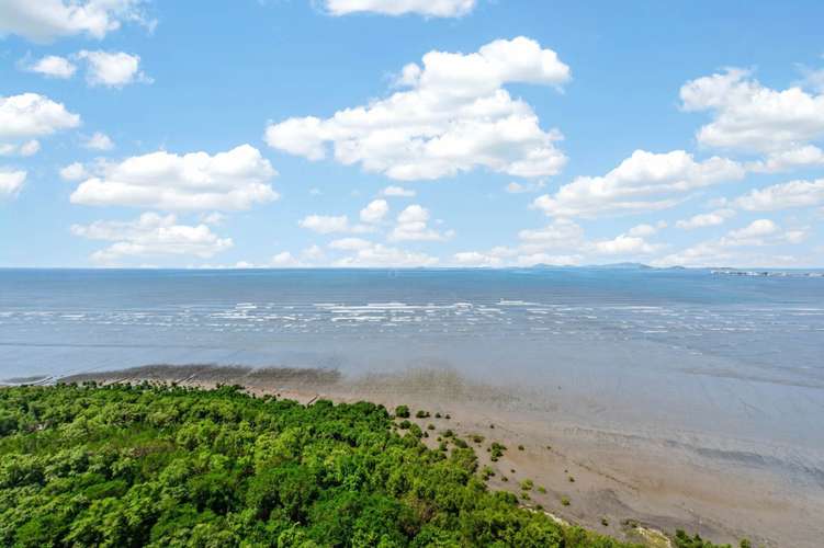 Costa del Este – Frente al Mar – 446mts2 – 1,800,000 - Imagen 13