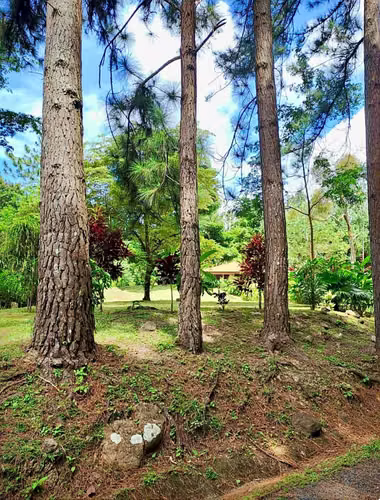 Casa ideal con vista a las montañas, rodeada de naturaleza en ALTOS DEL MARIA por $275,000