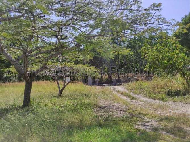 Venta de Terreno en San Carlos 26MGO6281 - Imagen 4