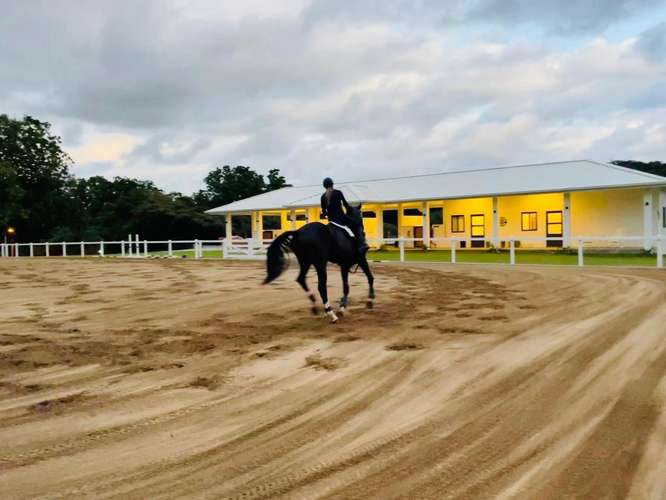 Finca ecuestre de 3.7 ha con pista profesional y 6 establos - Imagen 2
