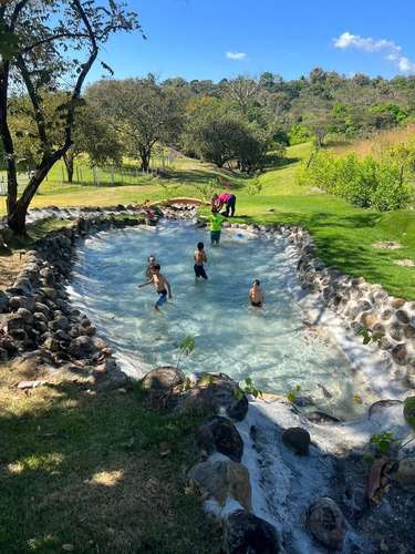 Finca ecuestre de 3.7 ha con pista profesional y 6 establos - Imagen 11