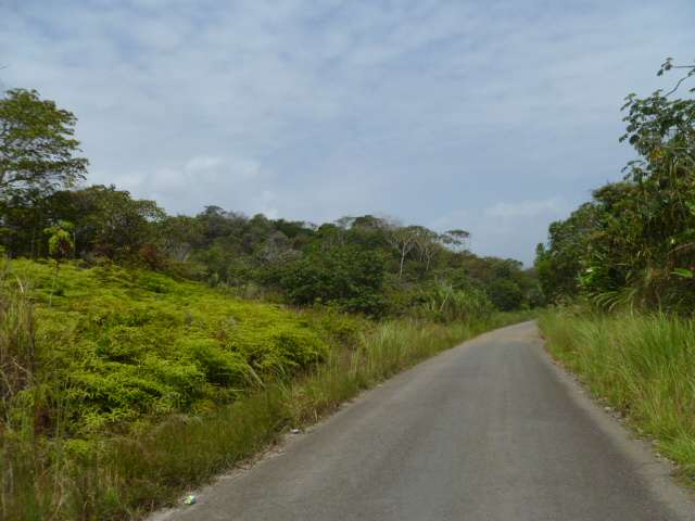 Vendo Terreno Titulado 5.8has en Colón, Viento Frío, Costa Arriba - Imagen 3