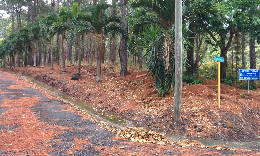 VENTA DE TERRENO EN ALTOS DEL MARÍA, RESIDENCIAL VALLE EL LAUREL (13) - Imagen 8