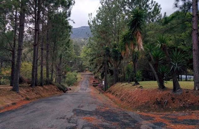 VENTA DE TERRENO EN ALTOS DEL MARÍA, RESIDENCIAL VALLE EL LAUREL (13) - Imagen 3