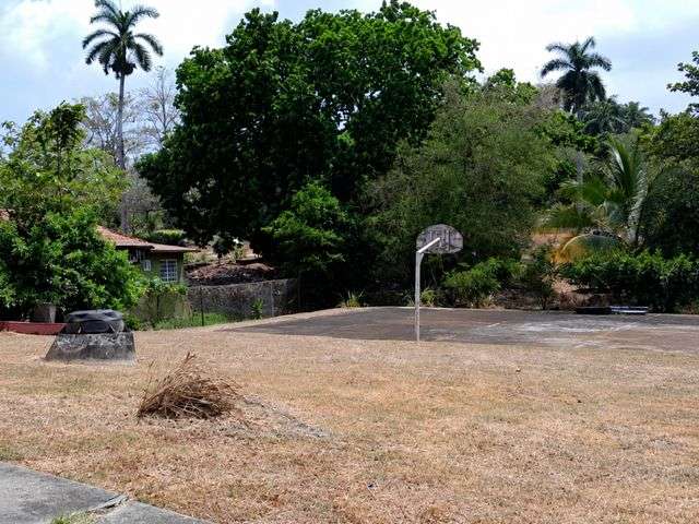 Lote en Howard de 1543m2 con casas para remodelar o tumbar. - Imagen 3