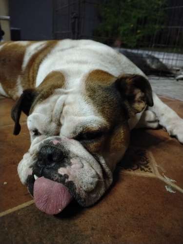 Busco novio - Imagen 2