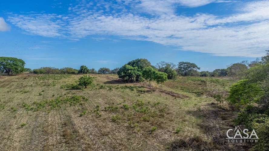 ¡Reducción de Precio! Terreno de 6 Hectáreas en Venta en Las Tablas, Los Santos – cs id: 281662