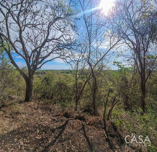 ¡Reducción de Precio! Terreno de 6 Hectáreas en Venta en Las Tablas, Los Santos – cs id: 281662