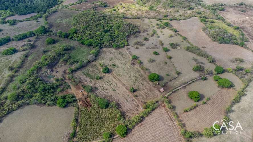 ¡Reducción de Precio! Terreno de 6 Hectáreas en Venta en Las Tablas, Los Santos – cs id: 281662