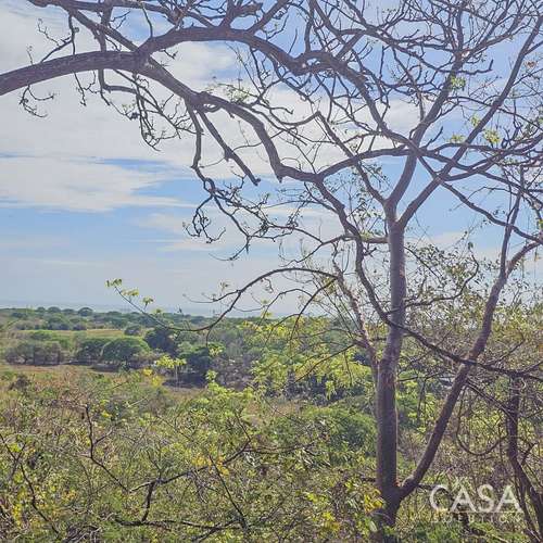 ¡Reducción de Precio! Terreno de 6 Hectáreas en Venta en Las Tablas, Los Santos – cs id: 281662
