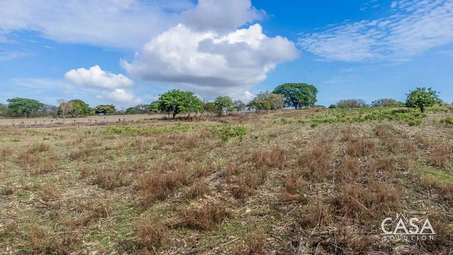 ¡Reducción de Precio! Terreno de 6 Hectáreas en Venta en Las Tablas, Los Santos – cs id: 281662